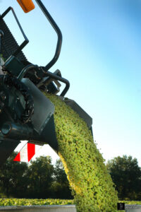 STVE Vendanges Blanc 2015 38